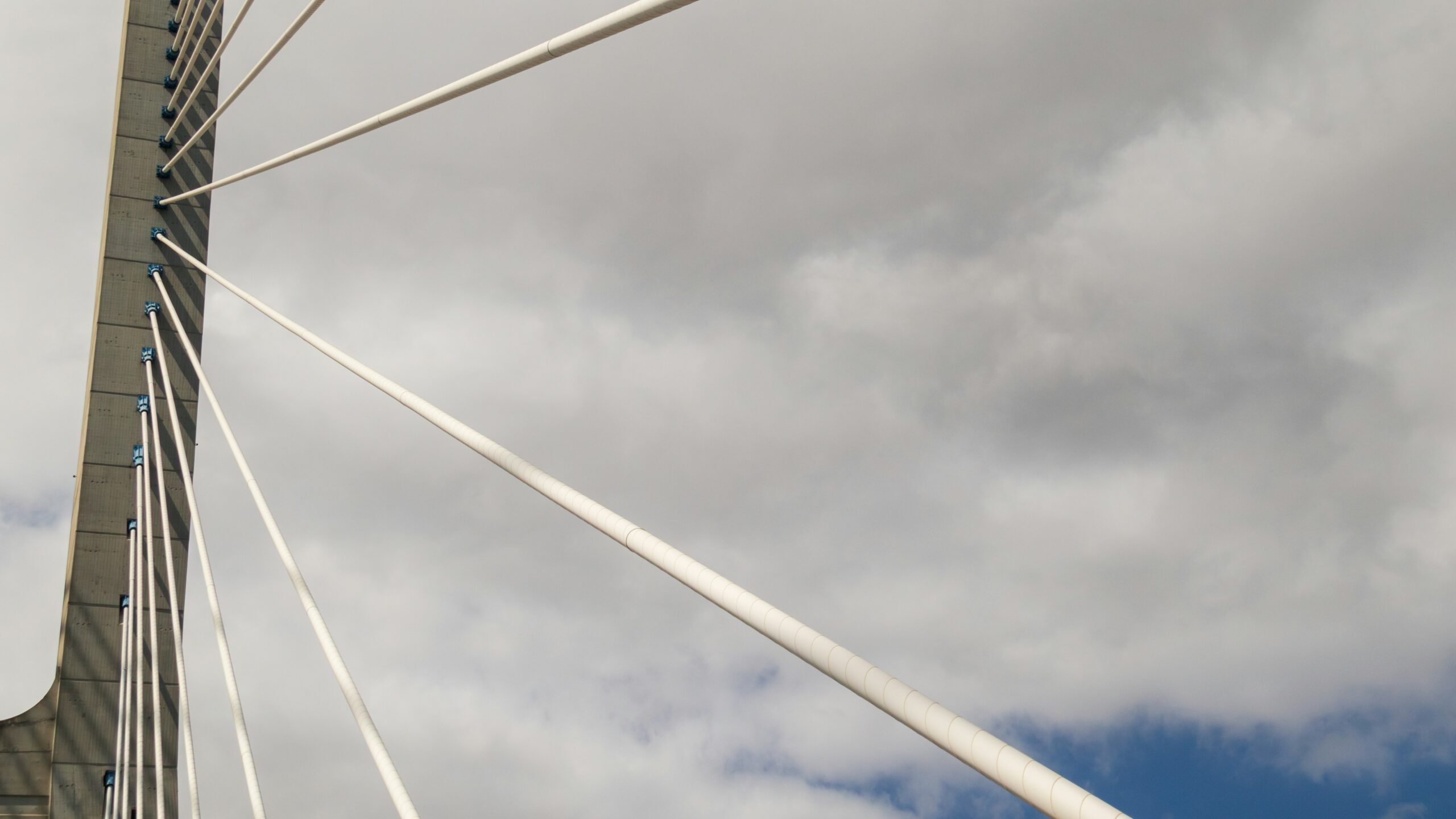 Defensive sectors face challenges: Growing dispersion among utilities